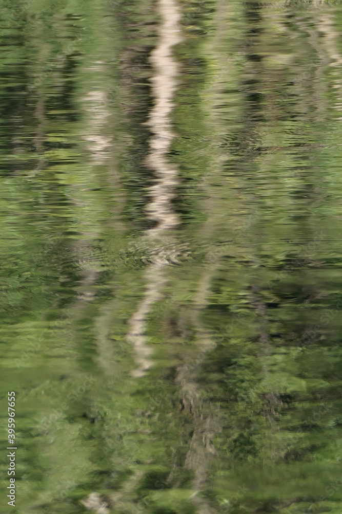 Reflection of trees in lake