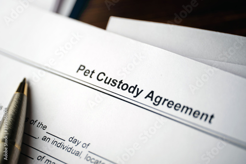 Legal document Pet Custody Agreement on paper