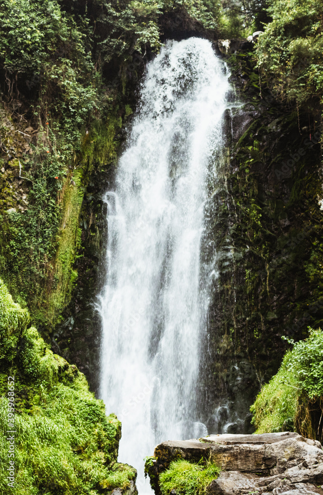Obraz premium waterfall in the forest