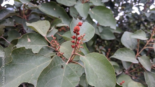 War against autumn