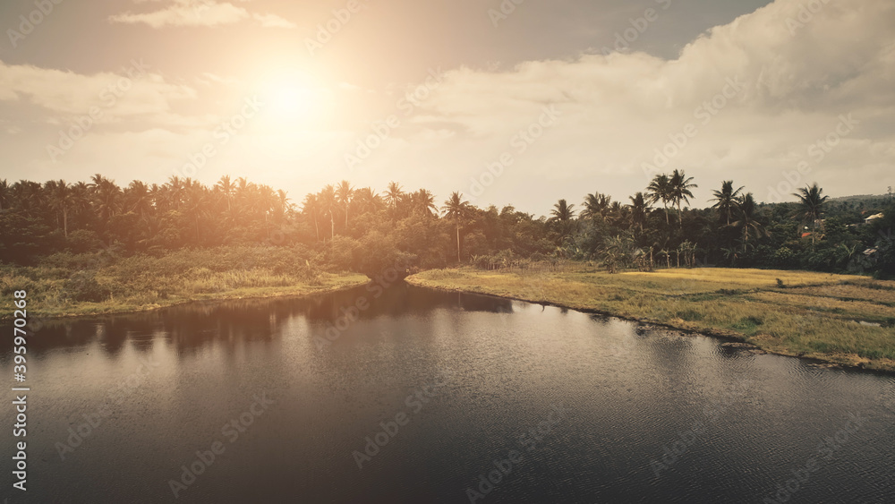 Sun tropic forest at lake shore aerial. Nobody nature landscape at Legazpi town, Mayon mount, Philippines, Asia. Green grass coast at palm trees and serene water with sun reflection. Soft light shot