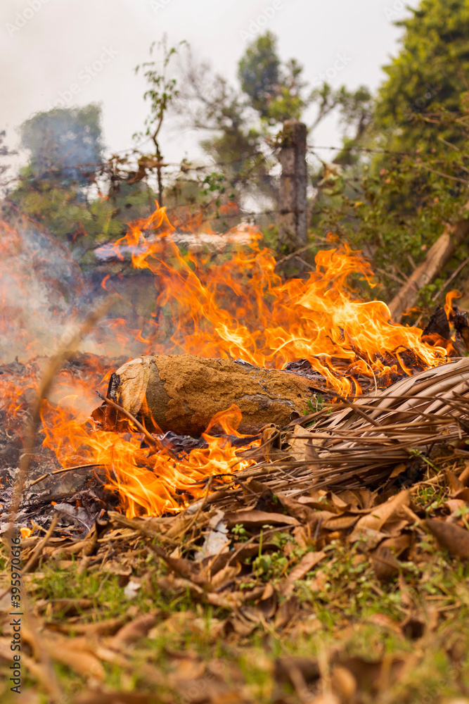 image of forest fire or wild fire image of forest fire or wild fire