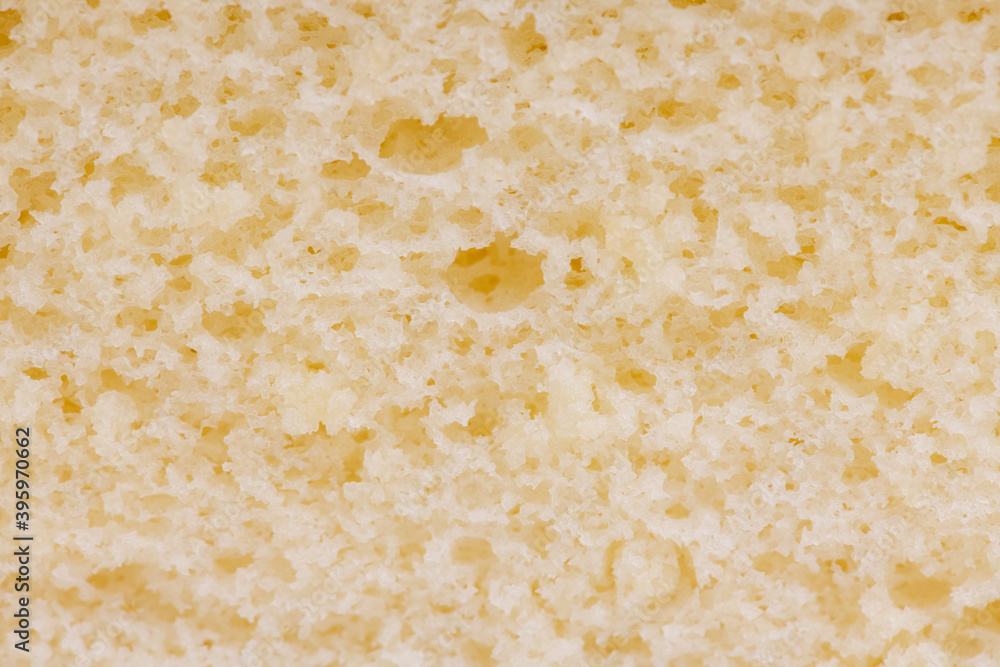Section of sponge cake, castella cake, (Japanese sponge cake) Section of sponge cake, castella cake, (Japanese sponge cake)