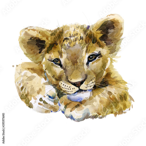 Photography Cute lion cub watercolor illustration. wild baby animals series