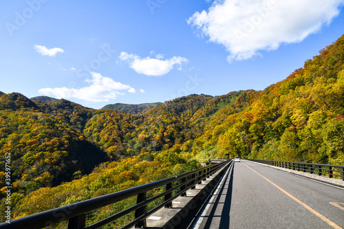 Plakat 秋の知床 知床横断道路と沿道の紅葉（北海道・羅臼町）