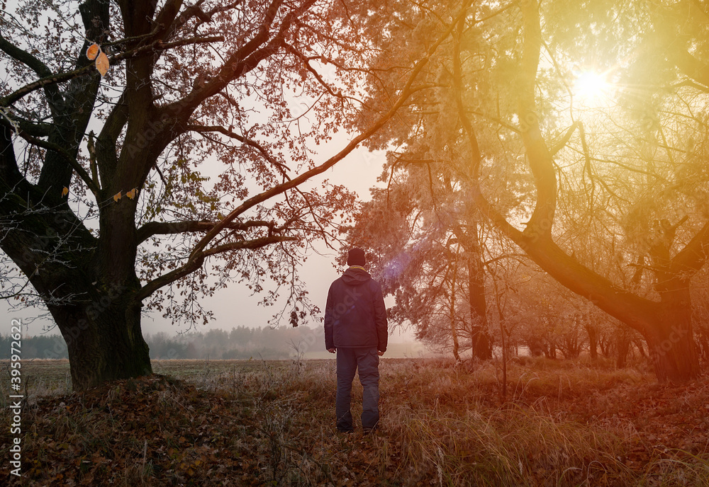 Young man standing in fog misty tree path at sunset. Czech landscape Young man standing in fog misty tree path at sunset. Czech landscape