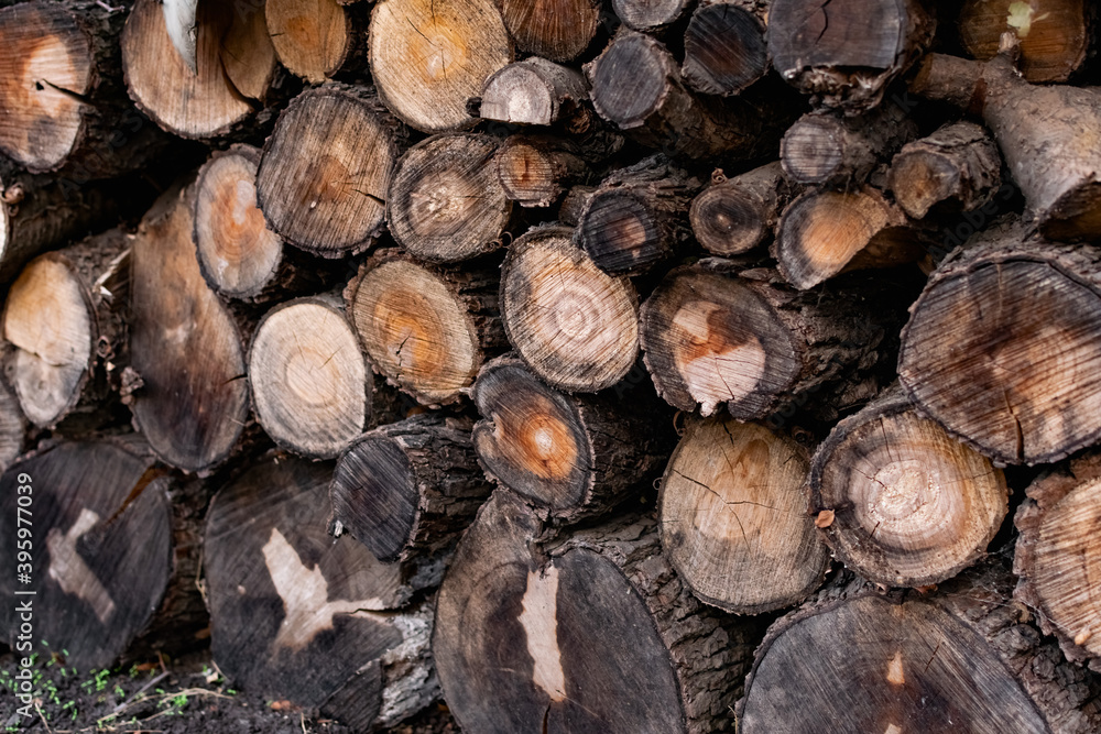 Prepared firewood for the grill and stove. Sawn down thick and thin tree trunks, wet and wet logs, stacked on rubble, a beautiful brown color of rich bark