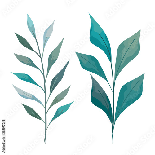 leaves painting set design of Natural floral nature and plant theme Vector illustration