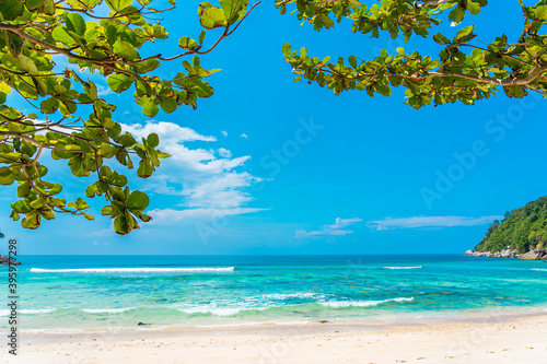 Fototapeta Naklejka Na Ścianę i Meble -  Beautiful tropical beach sea ocean with coconut and other tree around white cloud on blue sky