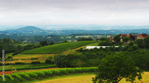 Weinberge im Limousin