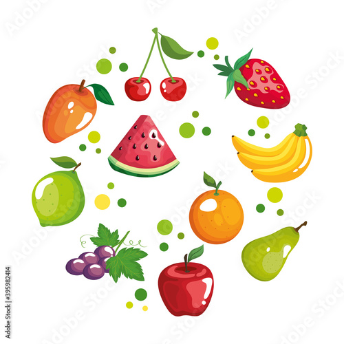 Fototapeta Naklejka Na Ścianę i Meble -  fruits circle icon set design, healthy organic food theme Vector illustration