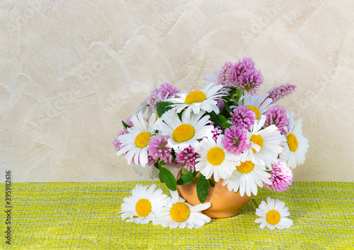 Clover and chamomile bouquet in a vase on a light background . Summer bouquet of garden and field flowers. Still life with daisies.