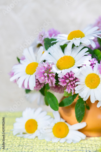 Clover and chamomile bouquet in a vase on a light background . Summer bouquet of garden and field flowers. Still life with daisies. selective focus