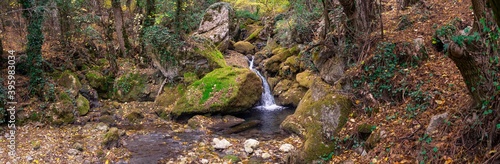 Clear mountain stream flows through the stones overgrown with green moss in an autumn reserved forest (Panorama)