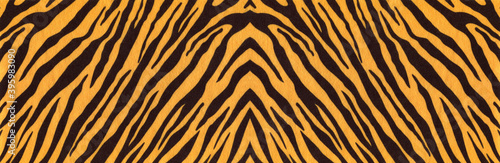 Background with a pattern of tiger stripes, tiger color. Tiger skin background or texture, long banner for website.