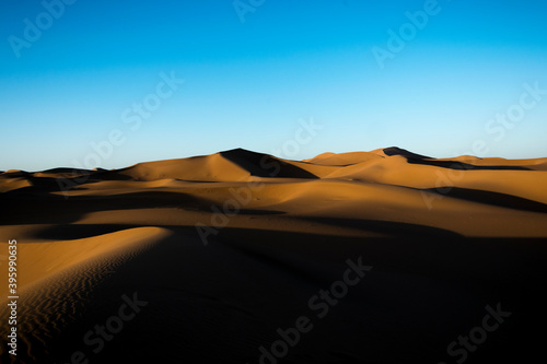 Sand dunes in a vast desert at dawn