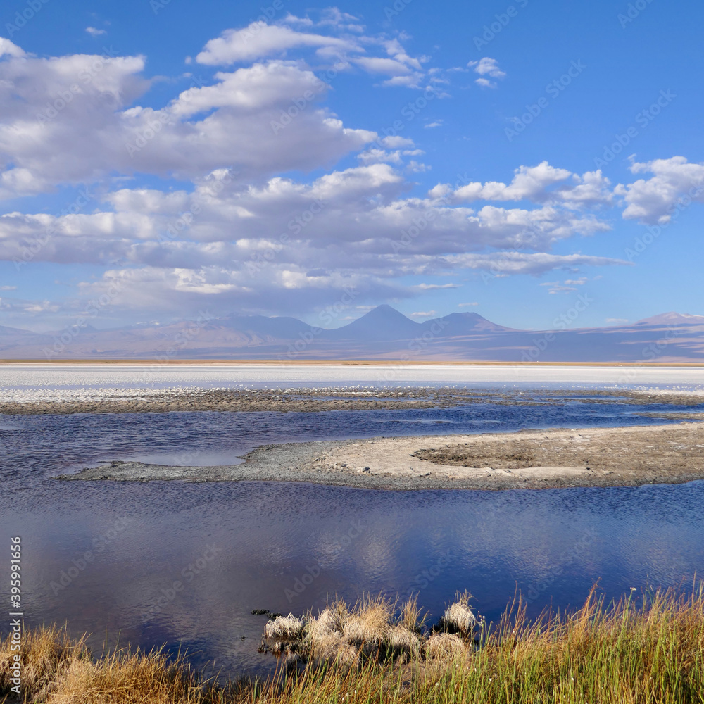Salt lake in Atacama desert with white salt crust and blue water, Chile