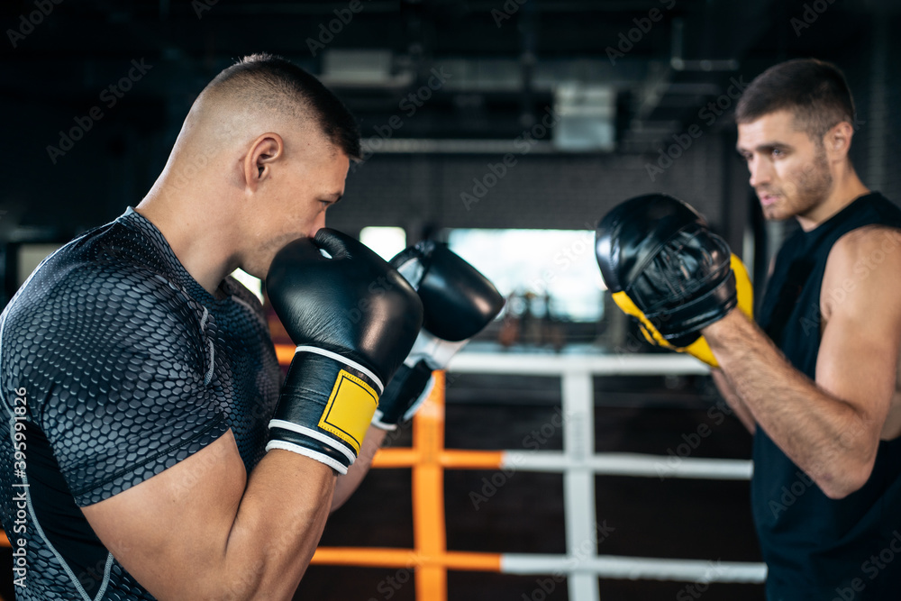 two muscle boxers sport man training and fighting on boxing ring at gym