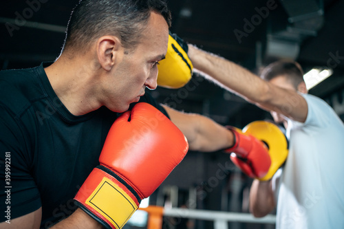 two muscle boxers sport man training and fighting on boxing ring at gym © goami