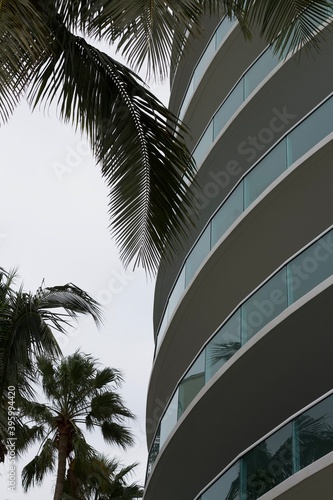 Miami Beach Architecture and Palm Tree © Aly