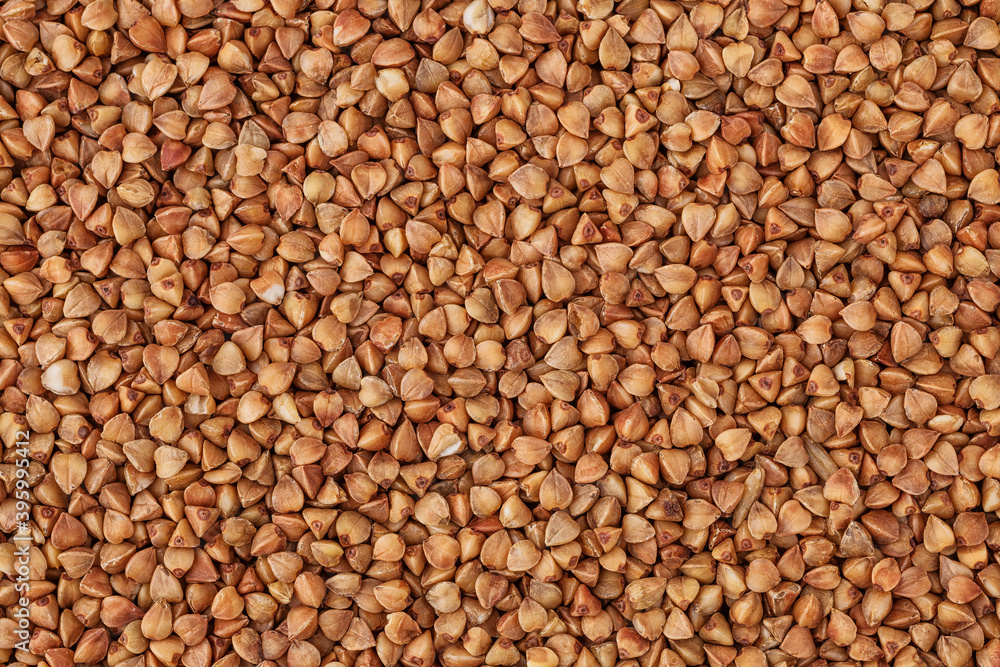 Close-up buckwheat background.Buckwheat. fresh buckwheat. Close-up buckwheat background.Buckwheat. fresh buckwheat.