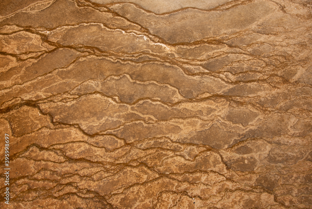 Fototapeta premium Fractal patterns at Yellow Stone National park