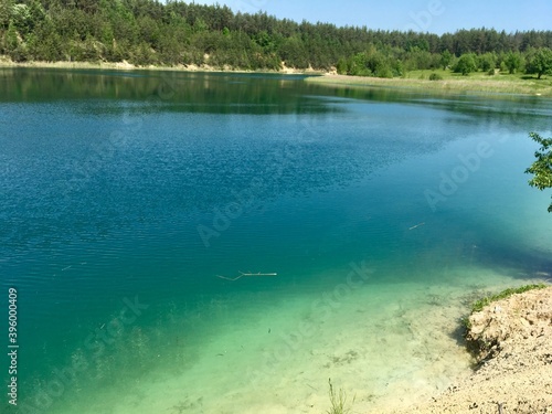 lake and forest