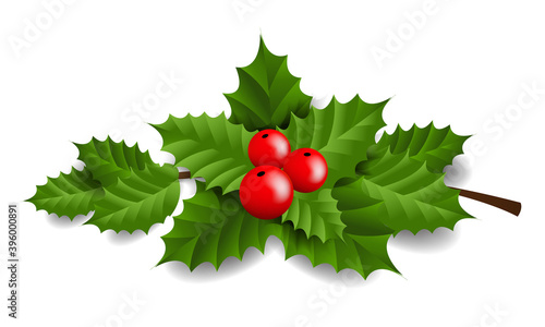 Holly Berry Isolated White Background With Gradient Mesh, Vector Illustration