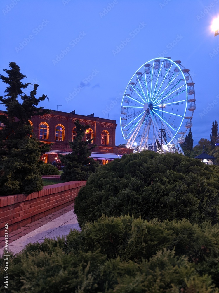Fototapeta premium ferris wheel in the park