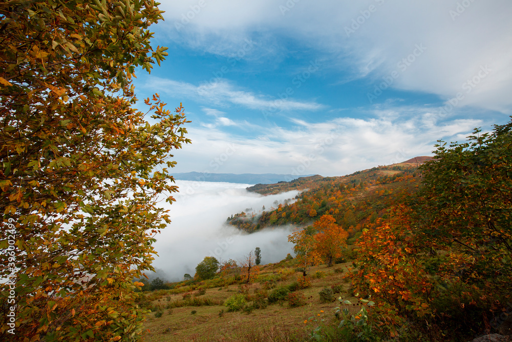 Sea of clouds autumn colorful trees high mountains Sea of clouds autumn colorful trees high mountains