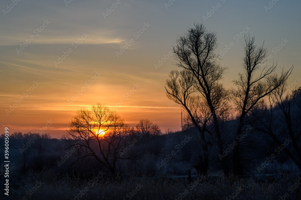 Snow November dawning with trees Snow November dawning with trees