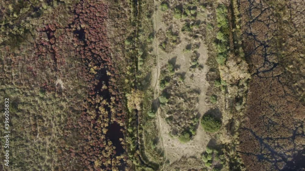 Drone Flying around beautiful camargues in south of France, wet and dry landscape with birds and swamps Drone Flying around beautiful camargues in south of France, wet and dry landscape with birds and swamps