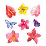 Set of bright tropical watercolor flowers and butterflies (orchid, plumeria, butterfly, anthurium). For the design of postcards, stickers, posters and more.