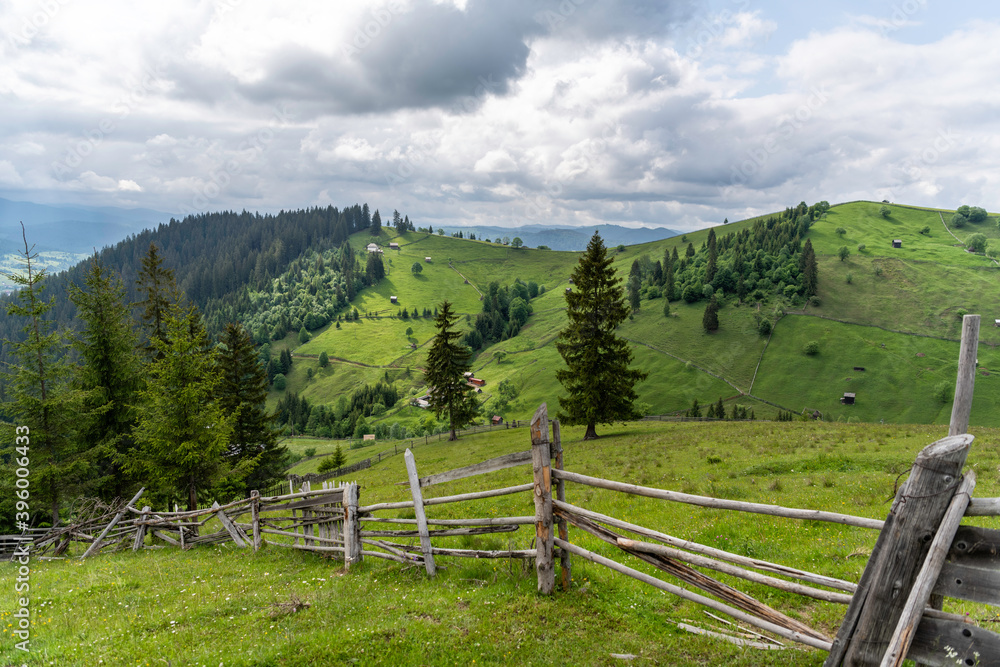 Summer landscape over the mountains green forest landscape bucovina romania
