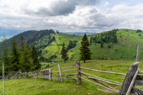 Summer landscape over the mountains green forest landscape bucovina romania photo