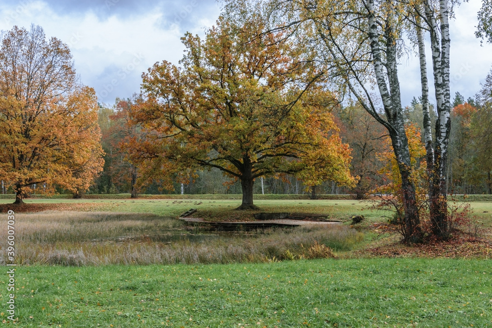 A picturesque autumn landscape with yellowed trees near a small pond.