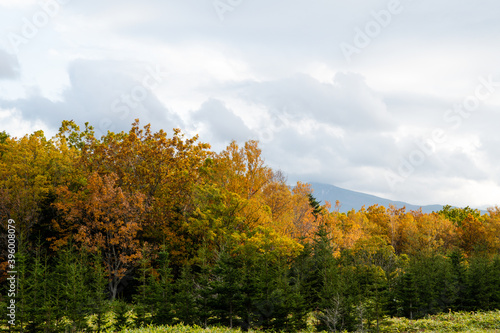 秋の知床 雲がかかった紅葉の知床連山と開拓地跡（北海道・斜里町）