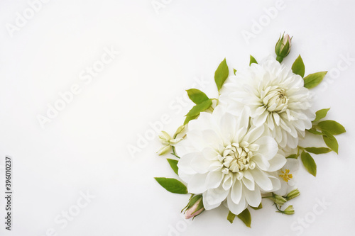 Delicate blossoming white dahlias, blooming flowers festive background, light floral frame card, toned
