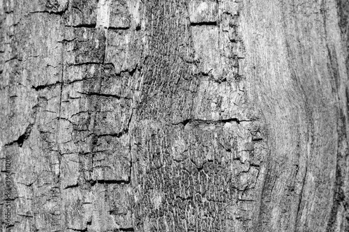 Holz - Holzhintergrund in schwarzweiß und grau - Banner und Textur