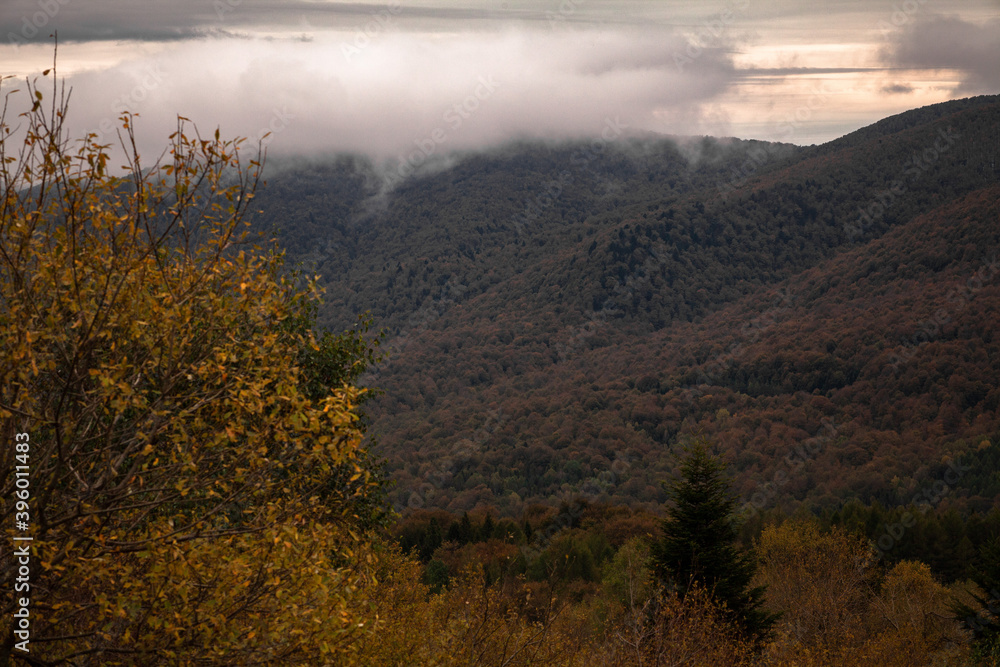 Jesienny krajobraz górski. Bezkres dzikiego karpackiego lasu, Bieszczady, Polska