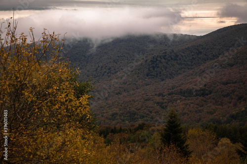 Jesienny krajobraz górski. Bezkres dzikiego karpackiego lasu, Bieszczady, Polska © Przemysław Głowik