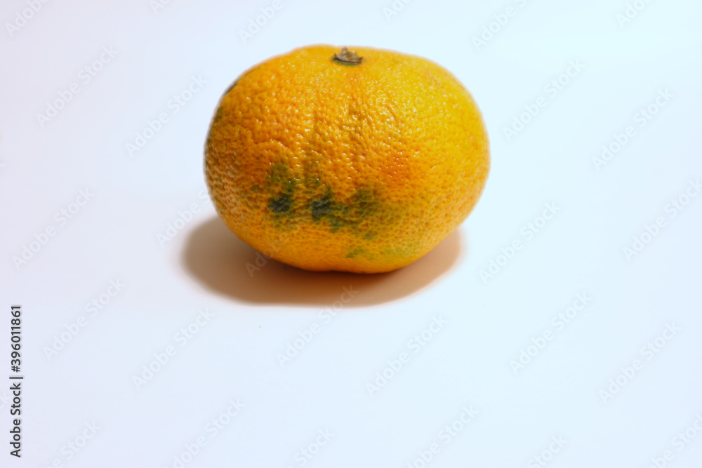 One large orange tangerine or mandarin. Some green color on the side of the fruit. Isolated and close up with a white background. Stockholm, Sweden. One large orange tangerine or mandarin. Some green color on the side of the fruit. Isolated and close up with a white background. Stockholm, Sweden.