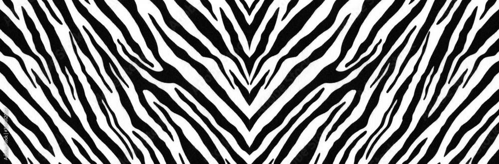Zebra skin texture. Zebra print. Background with a pattern of black and ...