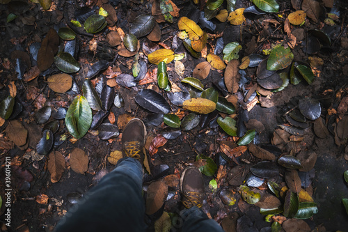 shoes of a person passing through a forest amid many leaves.