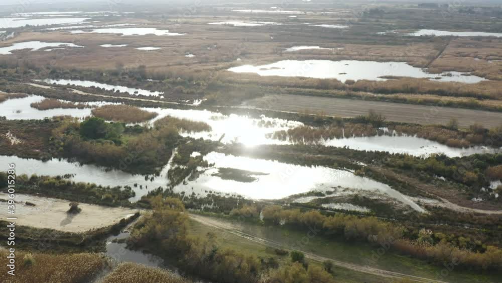 Drone Flying around beautiful camargues in south of France, wet and dry landscape with birds and swamps Drone Flying around beautiful camargues in south of France, wet and dry landscape with birds and swamps