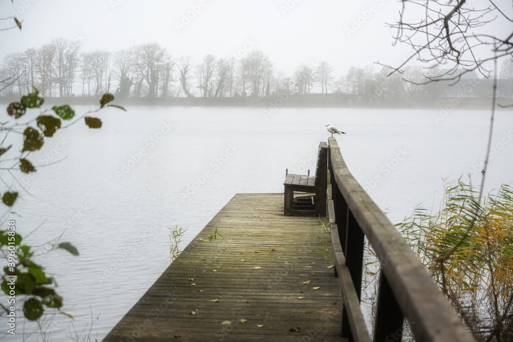 Obraz premium Wooden jetty at the lake with a seagull on a gray misty autumn day, copy space