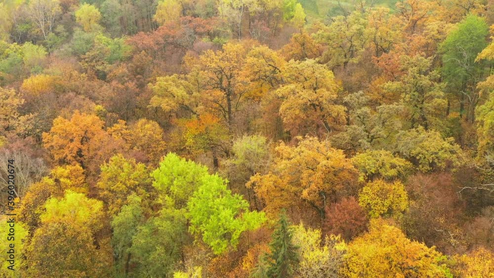 Autumn yellowed foliage on trees in the deciduous forest - Flying over yellow and orange trees in the autumn forest with a forester house - Drone shot - ProRes HQ Autumn yellowed foliage on trees in the deciduous forest - Flying over yellow and orange trees in the autumn forest with a forester house - Drone shot - ProRes HQ