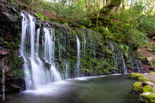 Wallpaper Mural 箱根千条の滝 Torontodigital.ca
