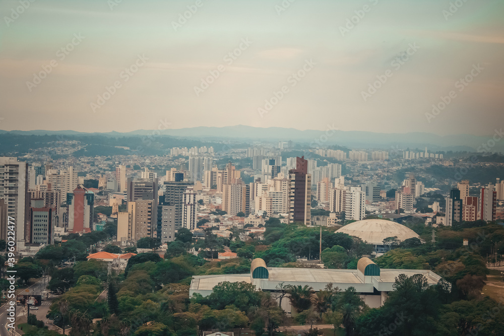 Obraz premium Bolão e pq da Uva