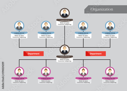 Organization Chart Infographics with People Icon and Abstract Line, Business Structure, Hierarchy of employees, org  Vector Illustration.